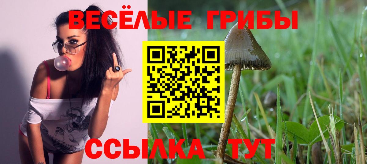Псилоцибиновые грибы Psilocybe  Вход с VPN  Абинск  наркотики  Галлюциногенные грибы GOLDEN TEACHER 
